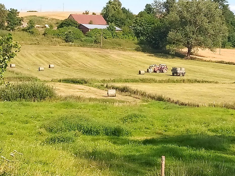 Ziemia 5,48 za 210