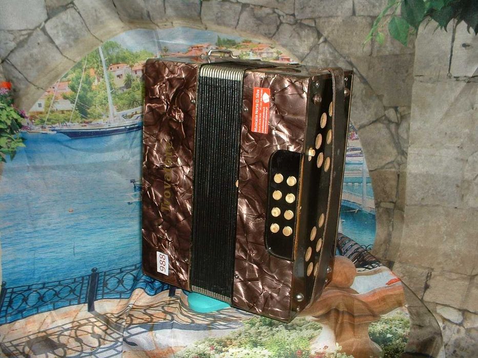 Concertina   Avenda N .988