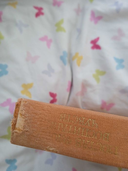 Гюстав Флобер "Воспитание чувств"