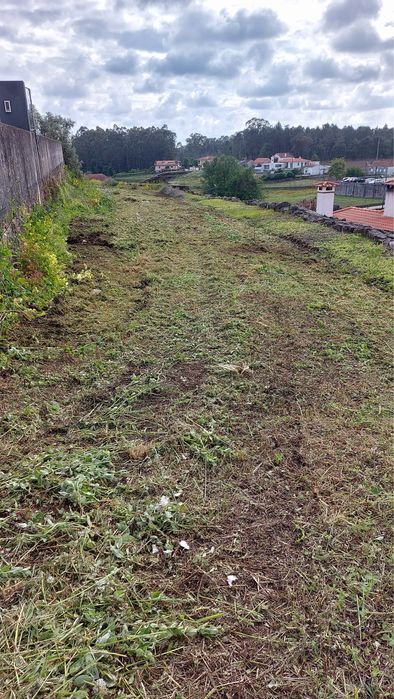 Limpeza de terrenos