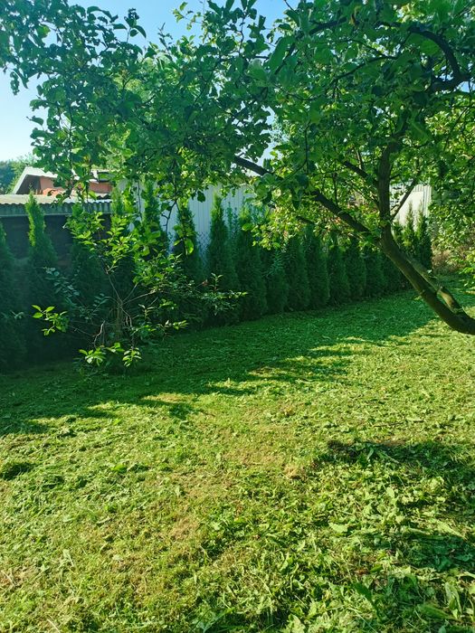 Ogródek ogród działkowy działka  ROD Pokój Siemianowice Śląskie Centrum