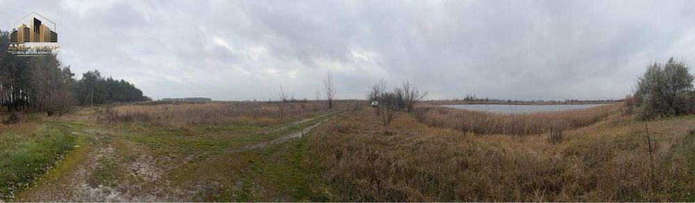 Без%Продажа земельного участка 320 соток, Иванков, Бориспольский район