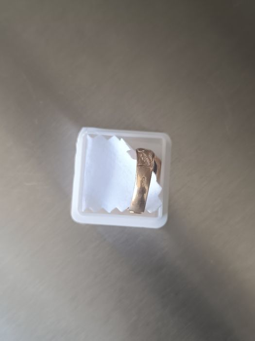 Anel Curso Lindíssimo - Politécnico Bragança