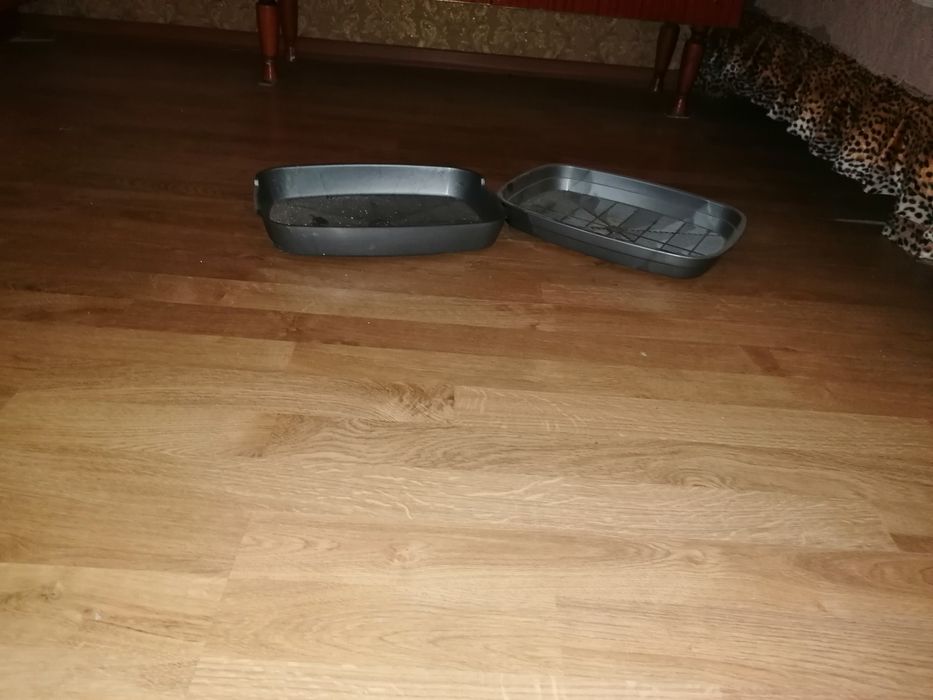 Щенячий туалет и поводок