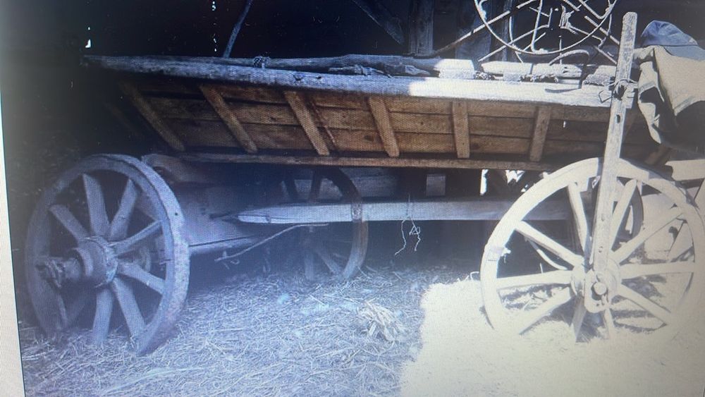 Віз на колесах, одноконка