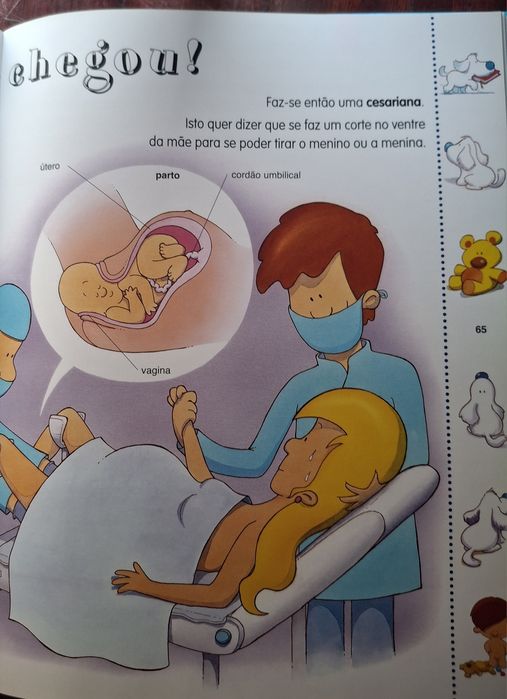 O Grande Livro da Sexualidade