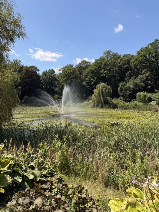 2 pokoje przy Park Róż-ul. Różana-Top Chorzów