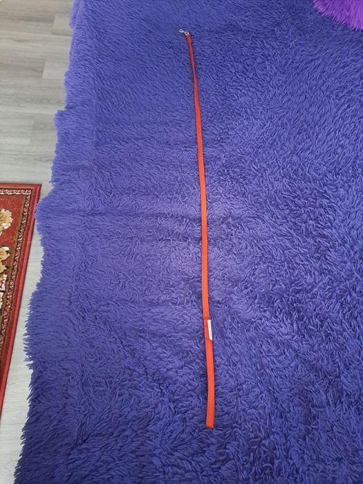 Smycz dla psa 1 metr,Royal Canin