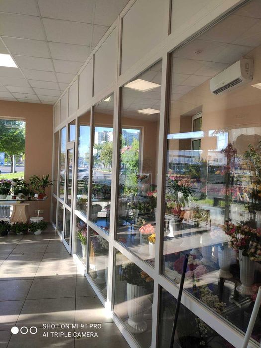 Пластиковые окна, двери входные и межкомнатные.