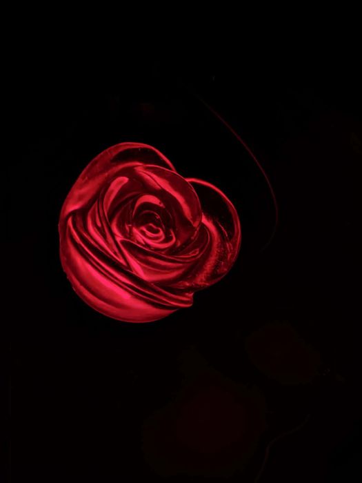 Róża komunia chrzest pamiątka prezent wieczna róża