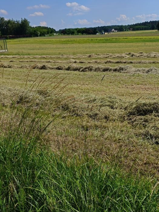 Działka budowlana Kobyla Góra 12 ar