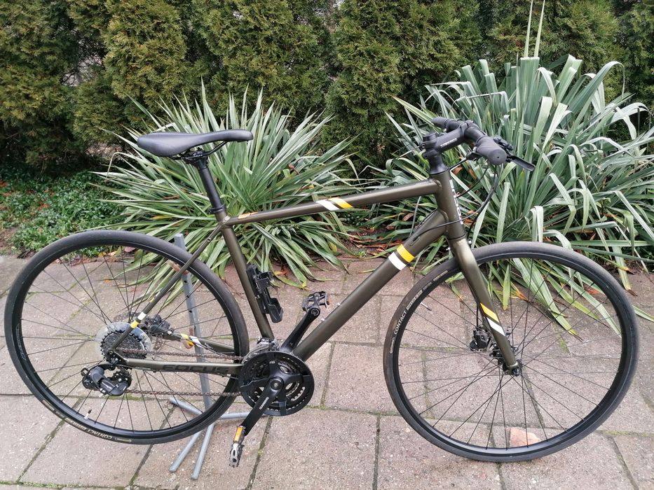 Rower fitness, szosa Focus Arriba - Ładny.