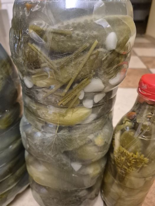 Sprzedam ogórki kiszone ekologicze