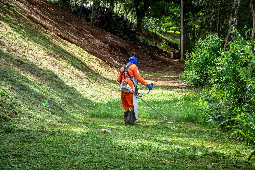 Limpeza de terrenos - Proteja a sua casa e terrenos de incêndios rurais e evite coimas