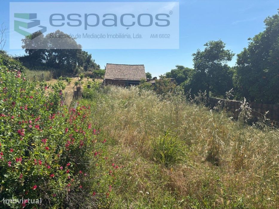 Terreno dentro perímetro urbano — Escalos De Baixo E Mata, Castelo Branco