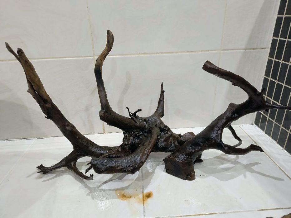 Korzeń i Kamienie.Gotowa aranżacja akwarium