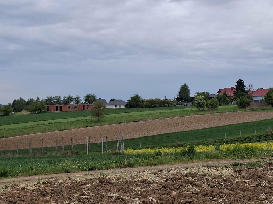 Ogródki działkowe na wynajem