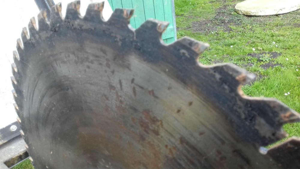 Piła krajzega siła