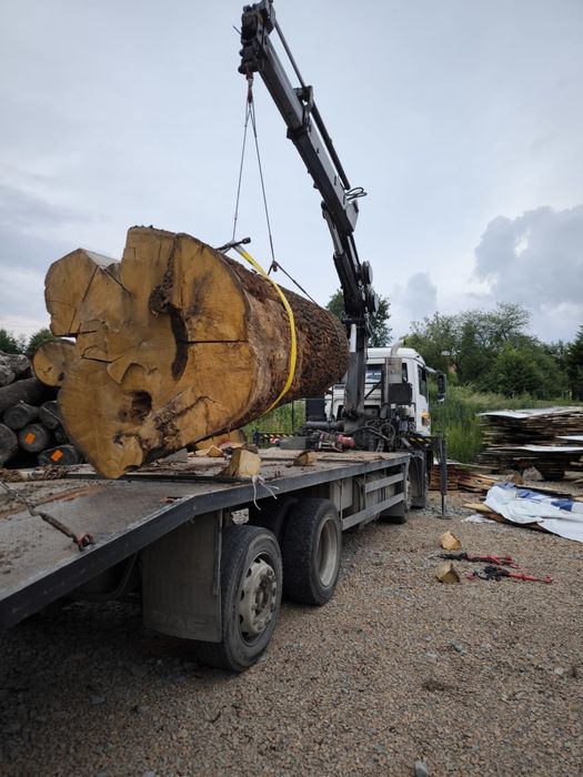 Wycinka drzew, pielęgnacja drzew, zrębkowanie gałęzi, frezowanie pni