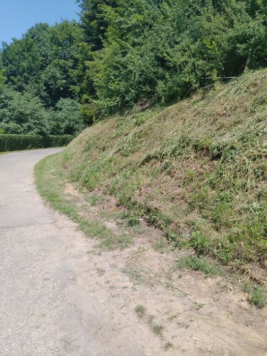 Usługi Ogrodnicze, wertykulacja trawników