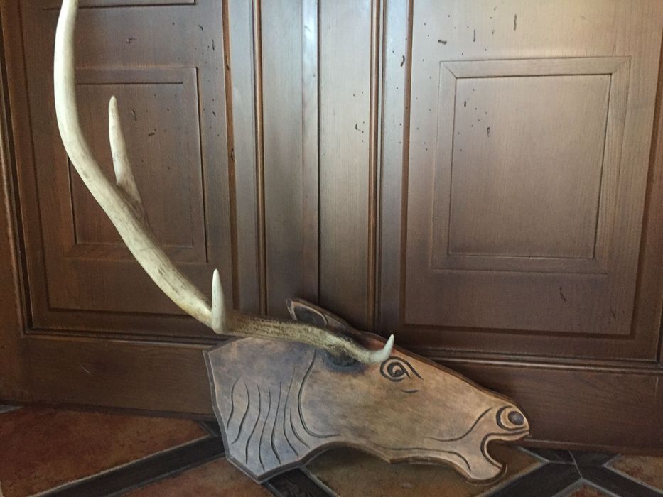 Рога оленя на стену