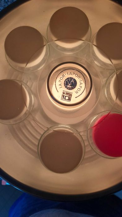 Iogurteira elétrica