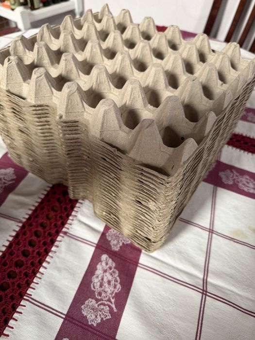 Caixas de 30 ovos novas