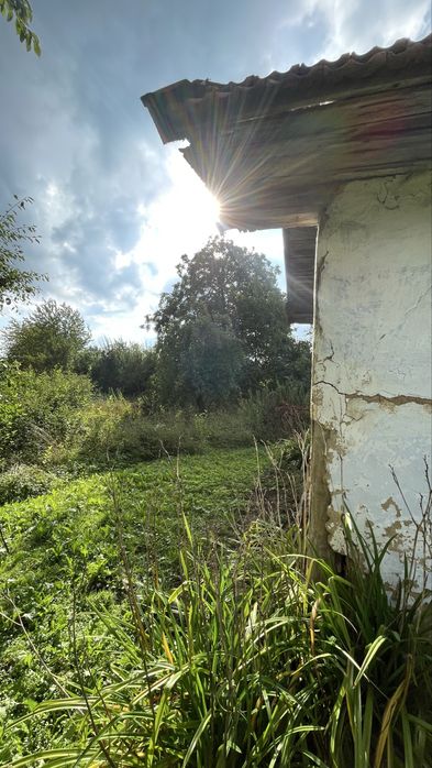 Продається будинок з ділянкою у с. Баківці