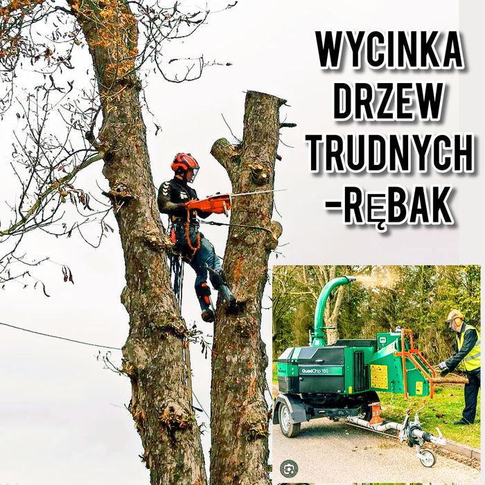 Wycinka drzew, przycinka,  Arborysta. Usługi rębak. Frezarka do karp