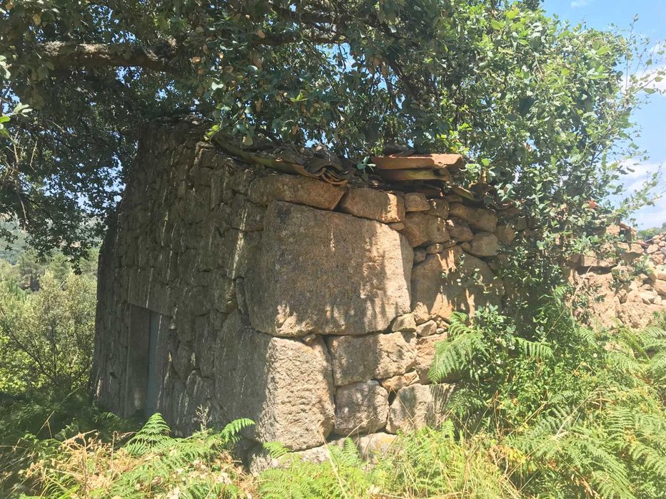 Conjunto de Terrenos Rústicos e Urbanos para Venda