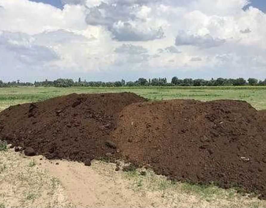 Дрова граб дуб ясень тополь сосна, перегной, чернозем СВЕТЛОВОДСК