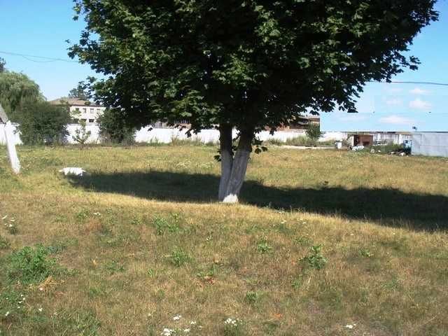 М"ясопереробне підприємство з бойнею