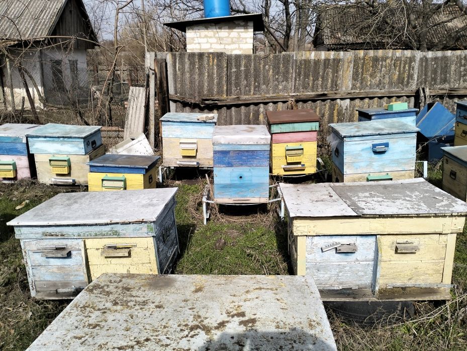 Продам улья дадан Рута