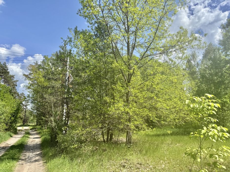 Земля у лісі під забудову Дзвінкове 3,25 га!