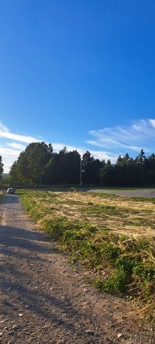 Sprzedam działki budowlane w Wodzisławiu Śląskim dzielnica  Turzyczka, 3km od centrum Wodzisławia  Śląskiego bez szkód górniczych. - Widok 2