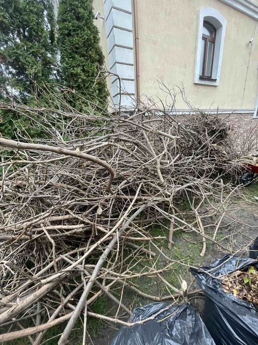 Вивіз сміття мотлоху гілок Софіївська Борщагівка Петропавлівська