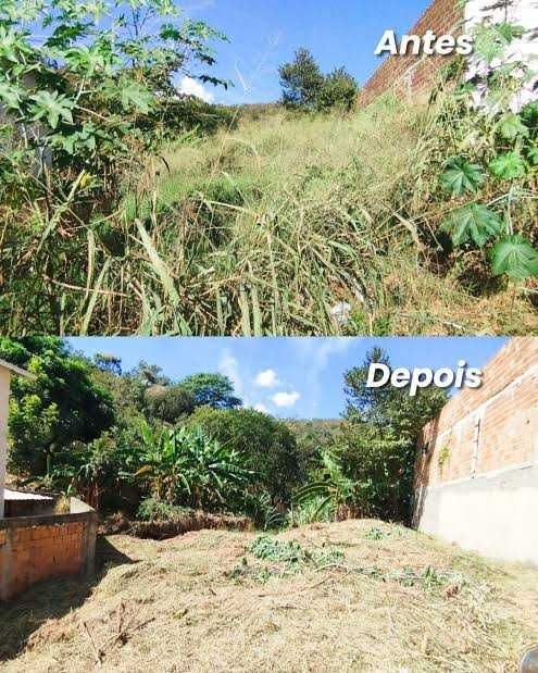 Limpeza de Terrenos