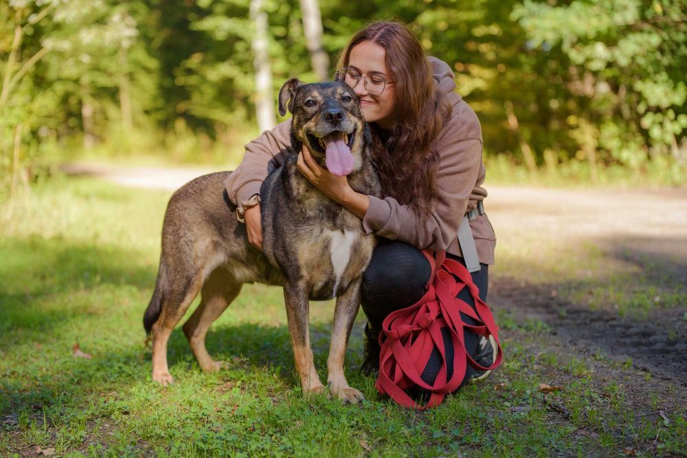 Wspaniały pieszczoch Amor - pies gotowy do adopcji
