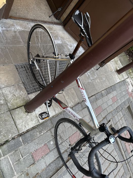 Rower szosowy accent r002