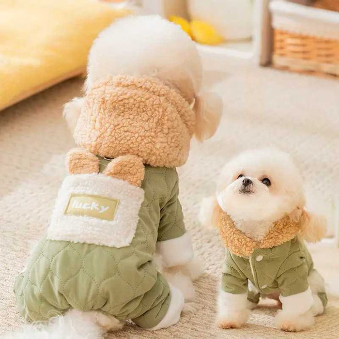 Комбінезон з капюшоном для собак Lesko Lucky 2410SXMJ0173 Green