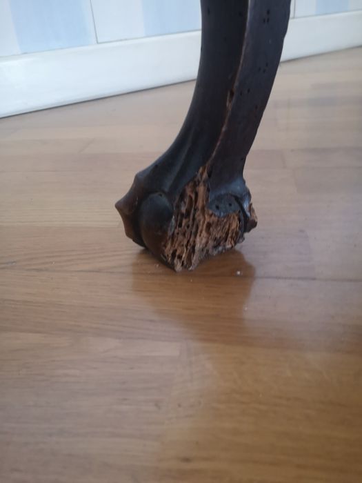 cama de solteiro antigas de madeira maciça