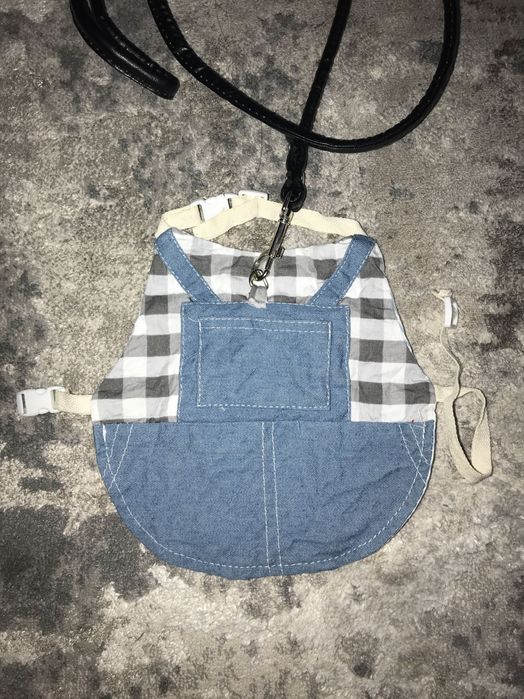 Одяг - повідок для кролика