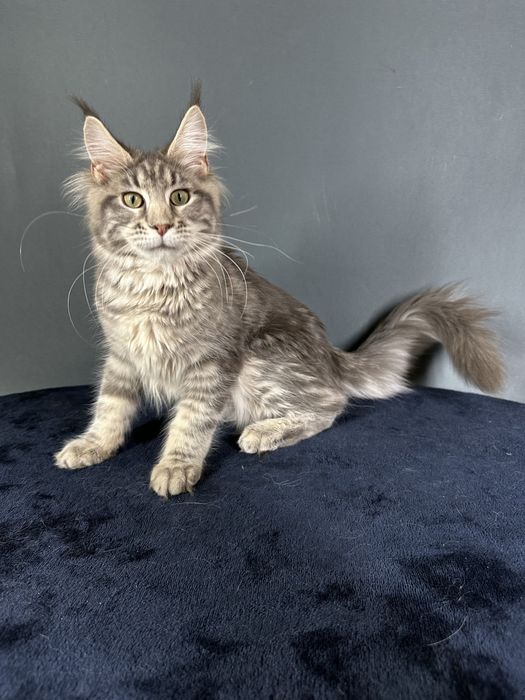 Дівчинка блакитний мармур