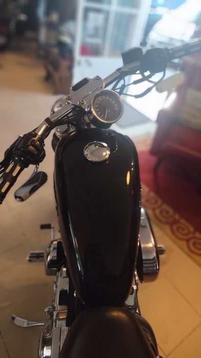 Harley Davidson Sporters 1200 Custom