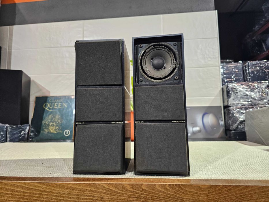 Металева акустика Bang & Olufsen BeoVox C75