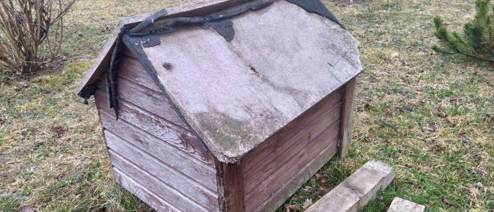 Buda dla psa - Oddam