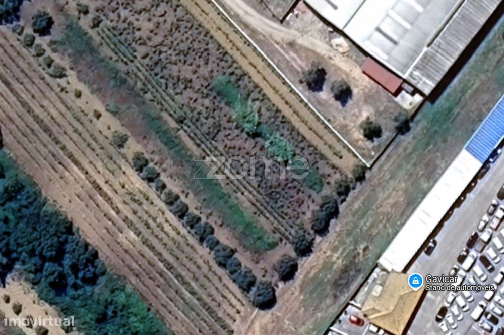 Terreno de Vinha 1652m2 em Anadia