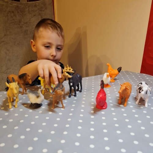 Zestaw 12 figurek zwierząt