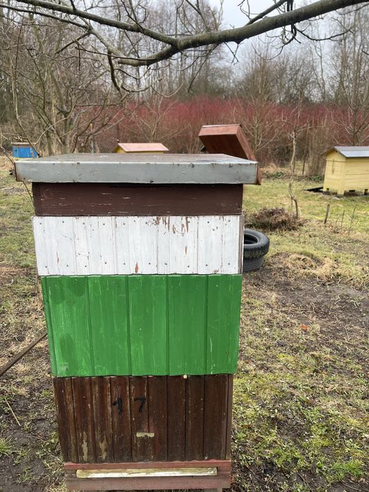 Sprzedam ule z pszczołami