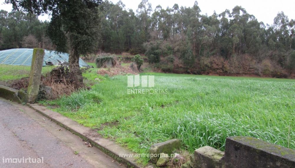 Venda de Terreno, Vilarinho das Cambas, Vila Nova de Famalicão